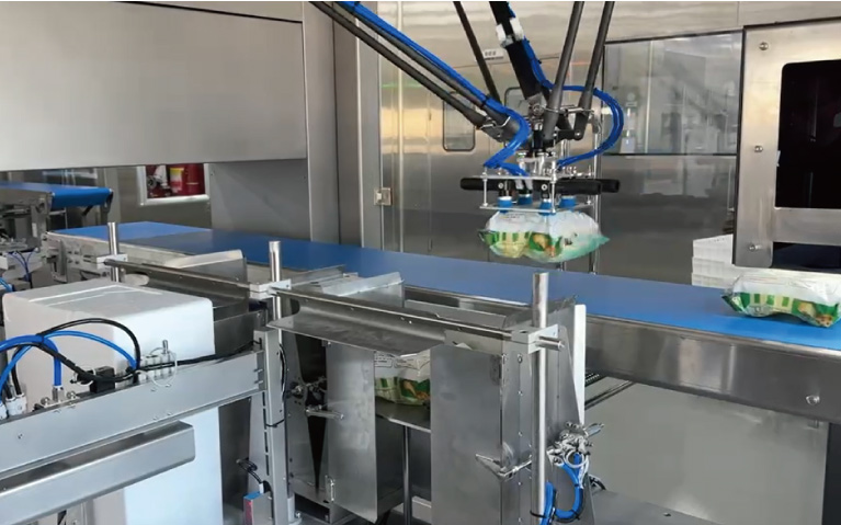 撻皮裝箱碼垛柔性自動化生產線